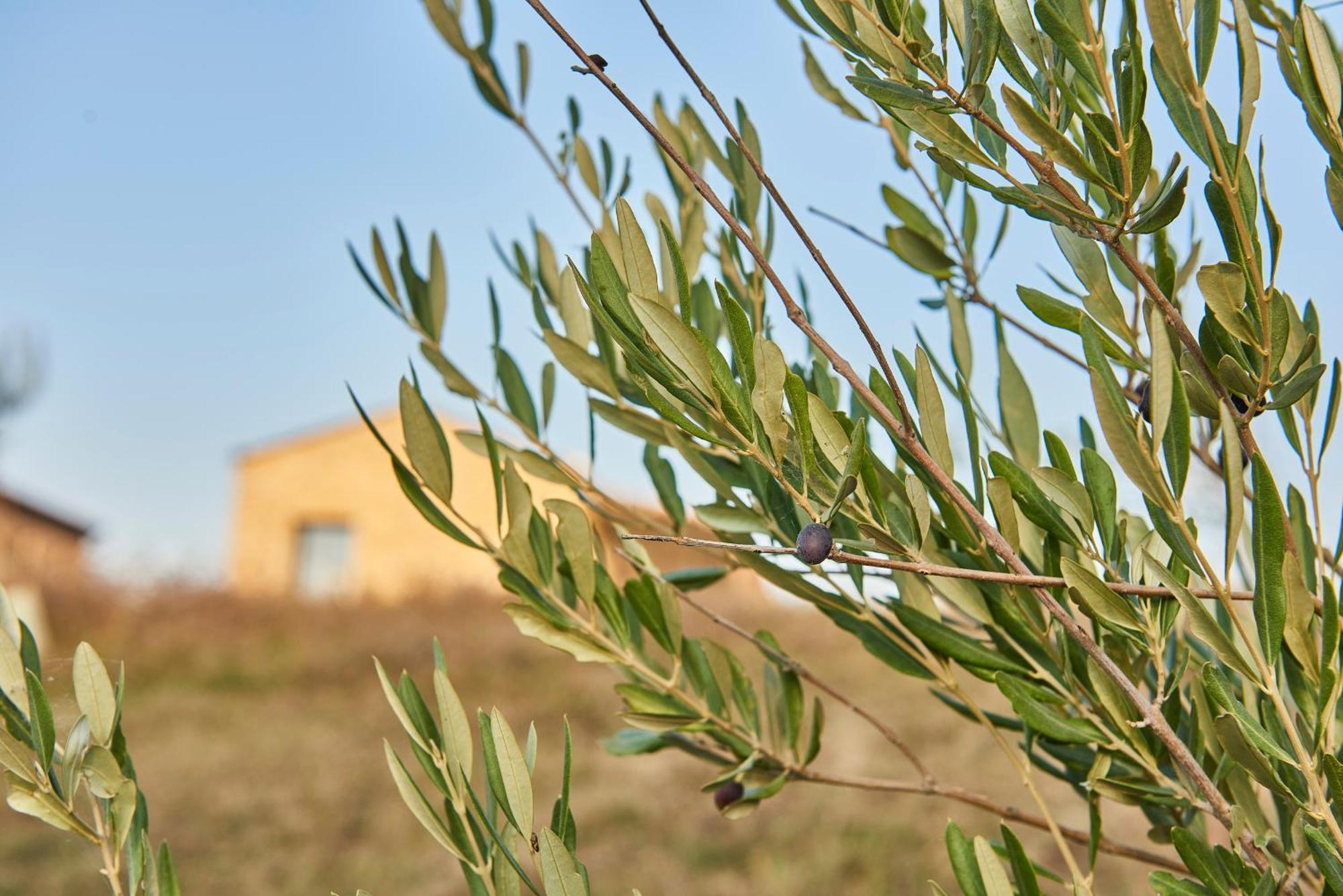 Agriturismo Prato Del Re Prignano sulla Secchia 외부 사진