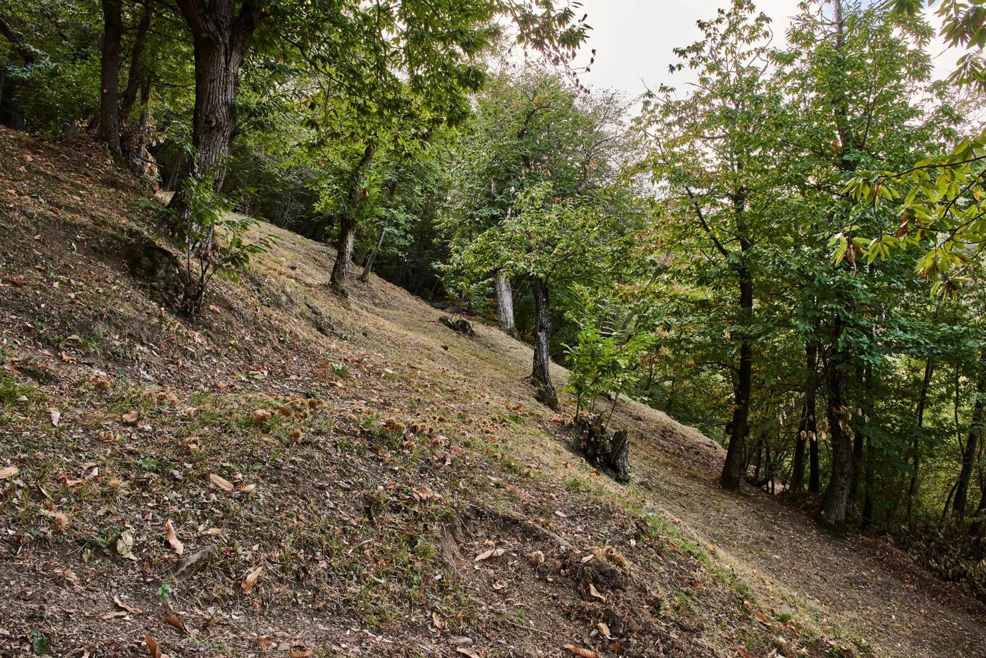 Agriturismo Prato Del Re Prignano sulla Secchia 외부 사진